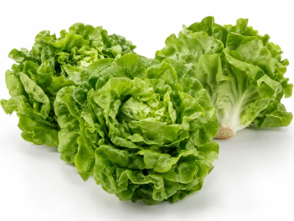 Lechuga 1 Kg